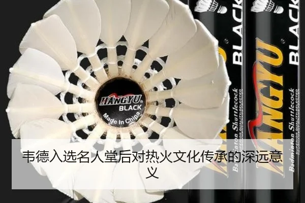 韦德入选名人堂后对热火文化传承的深远意义 - chaofan